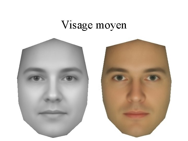 Visage moyen 