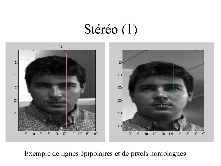 Stéréo (1) Exemple de lignes épipolaires et de pixels homologues 