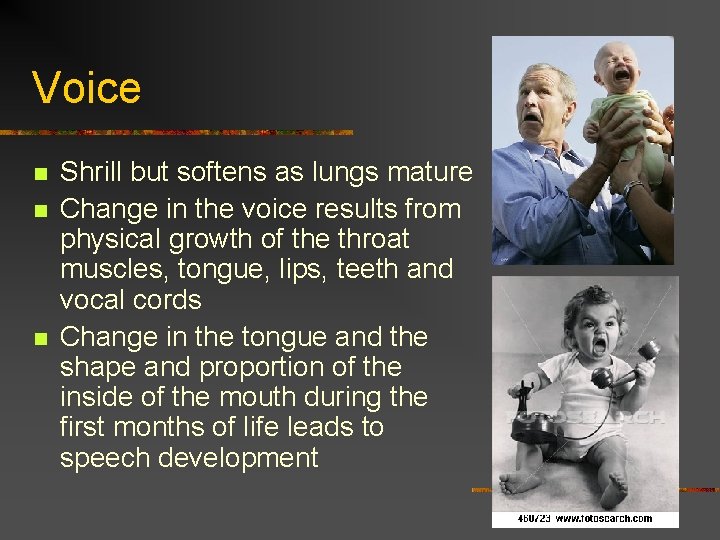 Voice n n n Shrill but softens as lungs mature Change in the voice