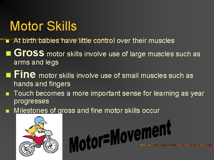 Motor Skills n At birth babies have little control over their muscles n Gross