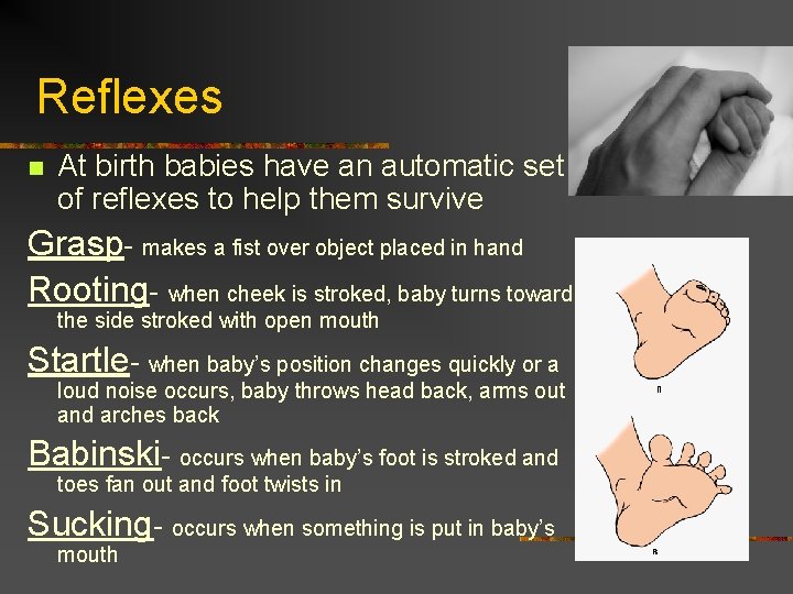 Reflexes At birth babies have an automatic set of reflexes to help them survive