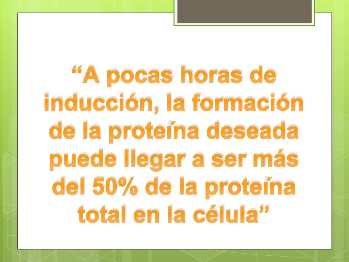 “A pocas horas de inducción, la formación de la proteína deseada puede llegar a