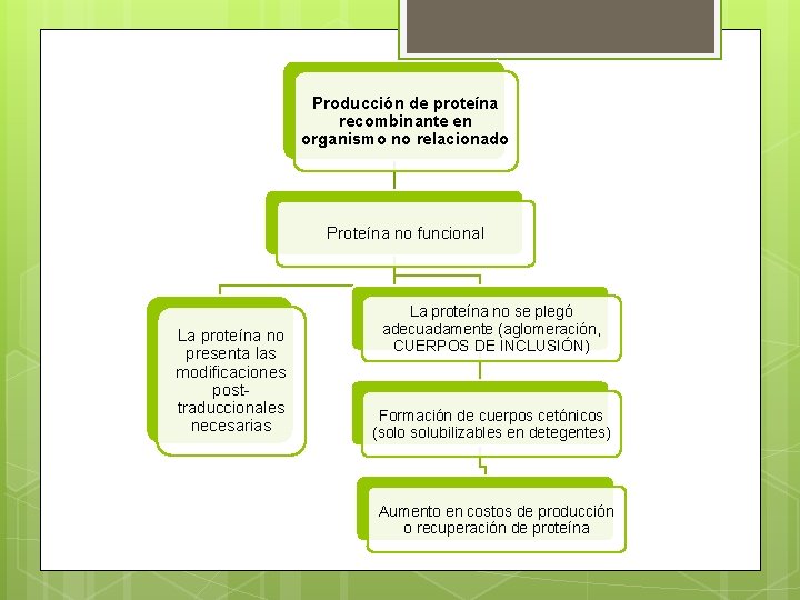 Producción de proteína recombinante en organismo no relacionado Proteína no funcional La proteína no