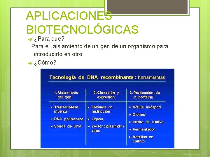 APLICACIONES BIOTECNOLÓGICAS ¿Para qué? Para el aislamiento de un gen de un organismo para