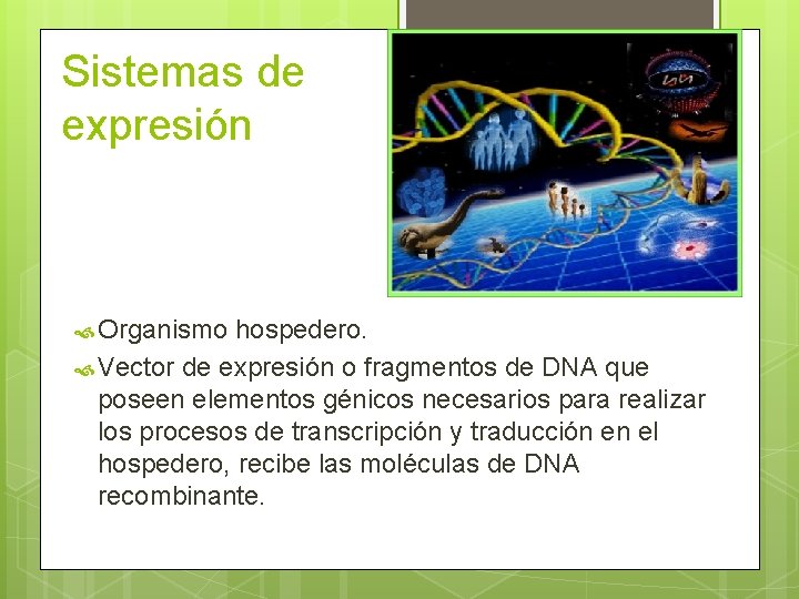 Sistemas de expresión Organismo hospedero. Vector de expresión o fragmentos de DNA que poseen