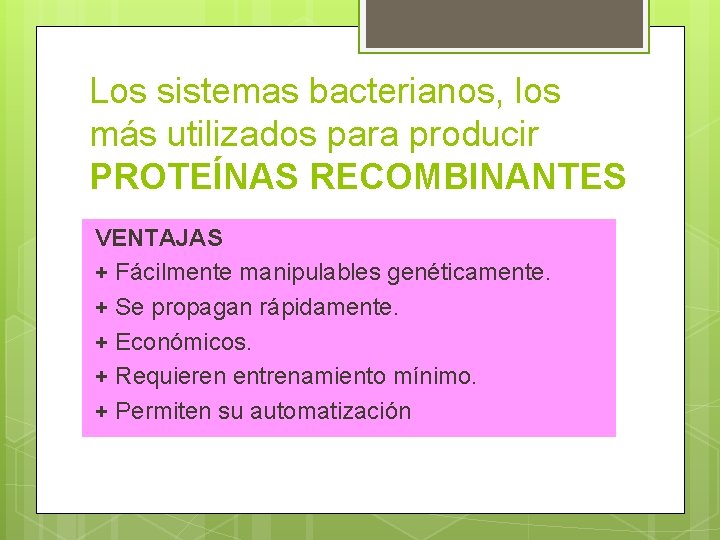 Los sistemas bacterianos, los más utilizados para producir PROTEÍNAS RECOMBINANTES VENTAJAS + Fácilmente manipulables