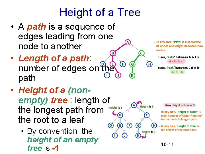 Height of a Tree • A path is a sequence of edges leading from