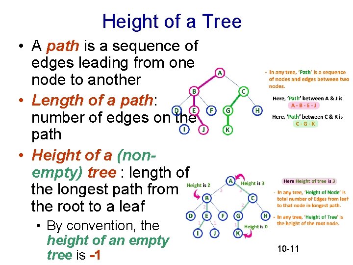 Height of a Tree • A path is a sequence of edges leading from Height of a Tree • A path is a sequence of edges leading from