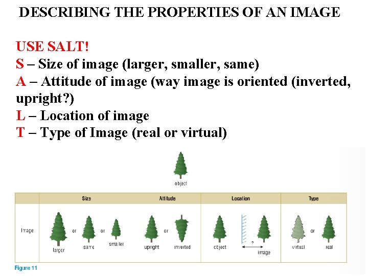  DESCRIBING THE PROPERTIES OF AN IMAGE USE SALT! S – Size of image