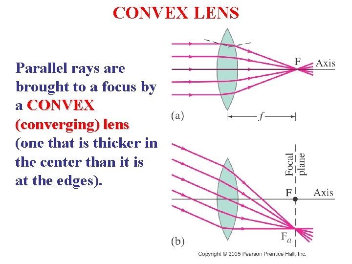 CONVEX LENS Parallel rays are brought to a focus by a CONVEX (converging) lens