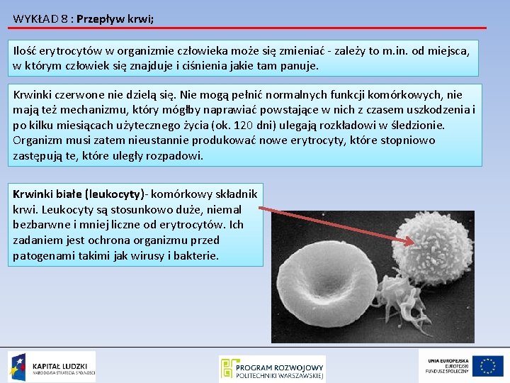 WYKŁAD 8 : Przepływ krwi; Ilość erytrocytów w organizmie człowieka może się zmieniać -