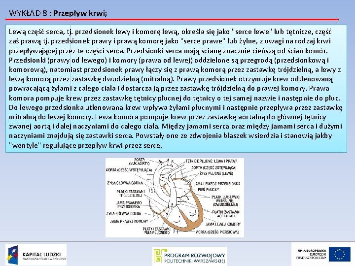 WYKŁAD 8 : Przepływ krwi; Lewą część serca, tj. przedsionek lewy i komorę lewą,