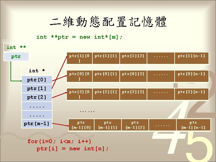 二維動態配置記憶體 int **ptr = new int*[m]; int ** ptr int * ptr[0] ptr[1] ptr[2].
