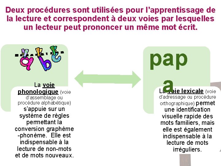 Deux procédures sont utilisées pour l’apprentissage de la lecture et correspondent à deux voies