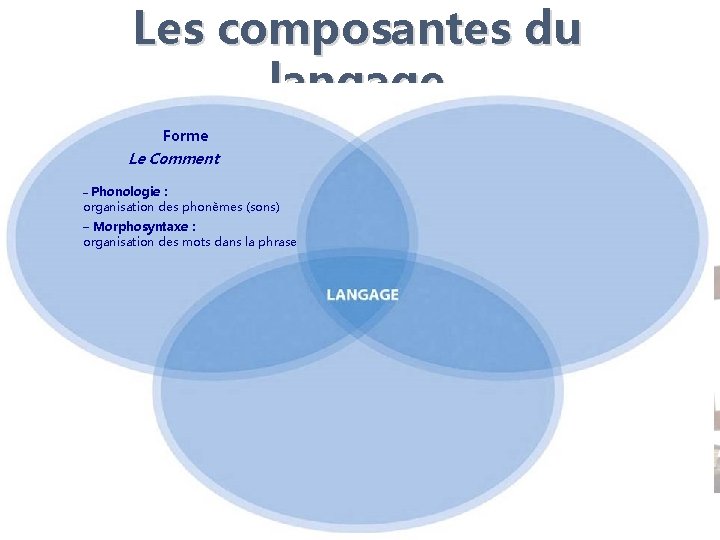 Les composantes du langage Forme Le Comment – Phonologie : organisation des phonèmes (sons) Les composantes du langage Forme Le Comment – Phonologie : organisation des phonèmes (sons)
