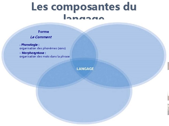 Les composantes du langage Forme Le Comment – Phonologie : organisation des phonèmes (sons)