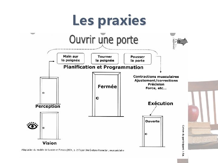 Les praxies Les praxies