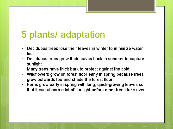 5 plants/ adaptation • Deciduous trees lose their leaves in winter to minimize water