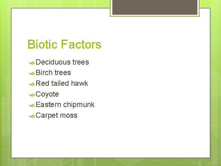 Biotic Factors Deciduous Birch trees Red tailed hawk Coyote Eastern chipmunk Carpet moss 