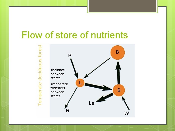 Flow of store of nutrients 