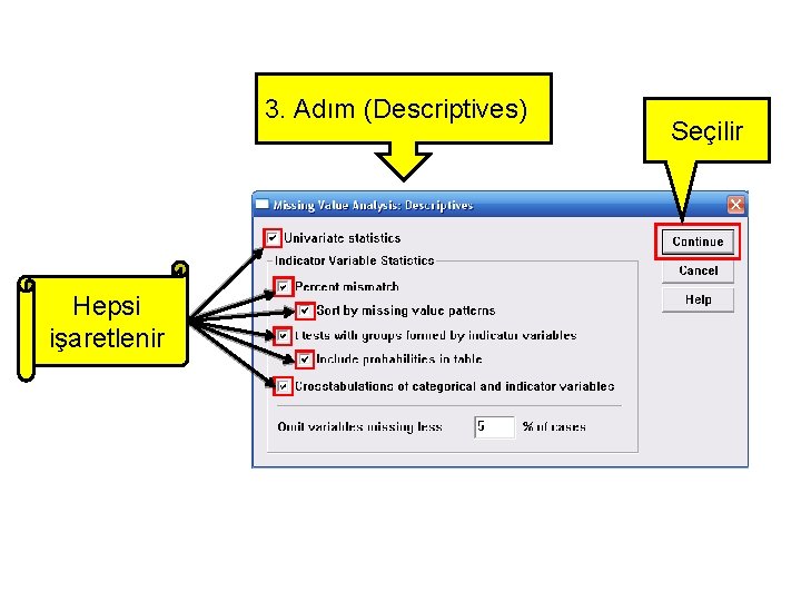 3. Adım (Descriptives) Hepsi işaretlenir Seçilir 