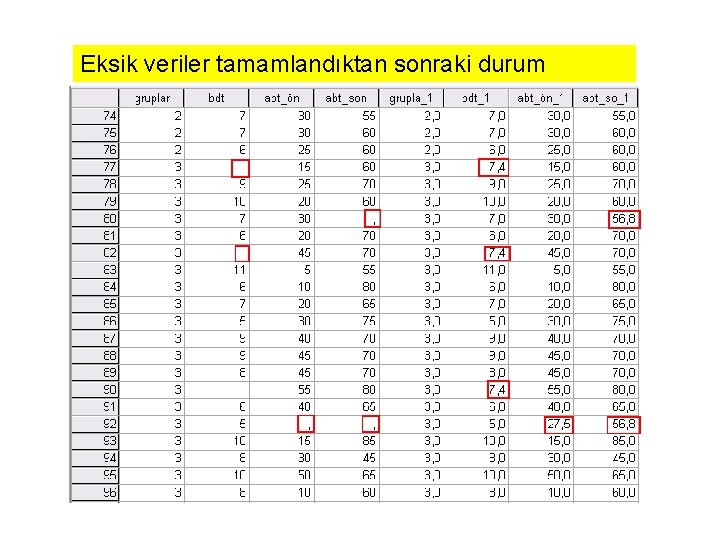 Eksik veriler tamamlandıktan sonraki durum 