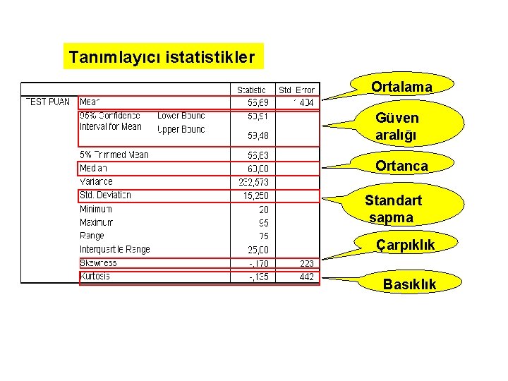 Tanımlayıcı istatistikler Ortalama Güven aralığı Ortanca Standart sapma Çarpıklık Basıklık 