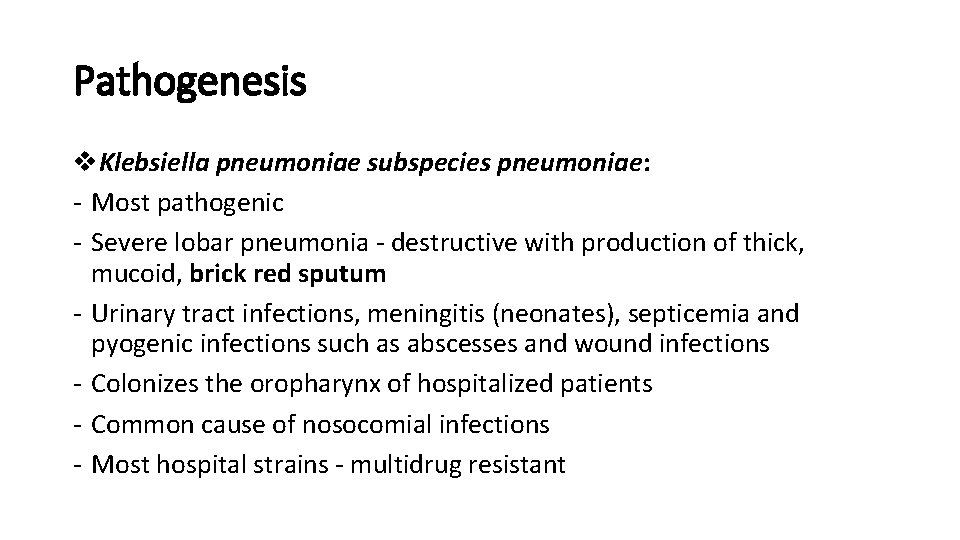 Pathogenesis v. Klebsiella pneumoniae subspecies pneumoniae: - Most pathogenic - Severe lobar pneumonia -