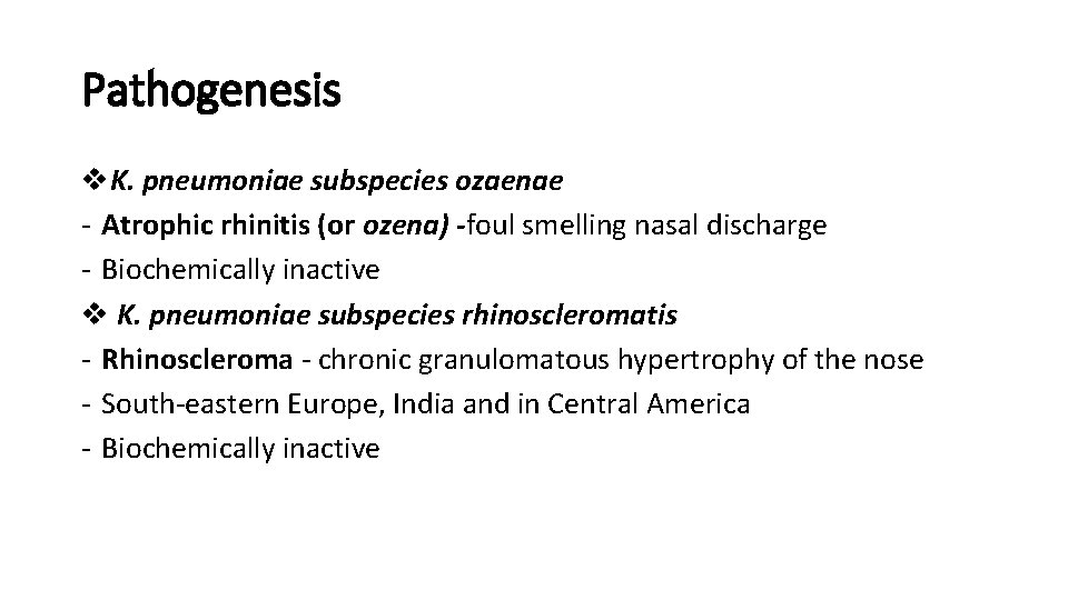 Pathogenesis v. K. pneumoniae subspecies ozaenae - Atrophic rhinitis (or ozena) -foul smelling nasal