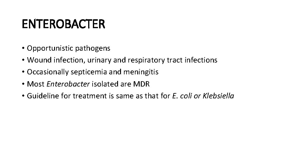ENTEROBACTER • Opportunistic pathogens • Wound infection, urinary and respiratory tract infections • Occasionally