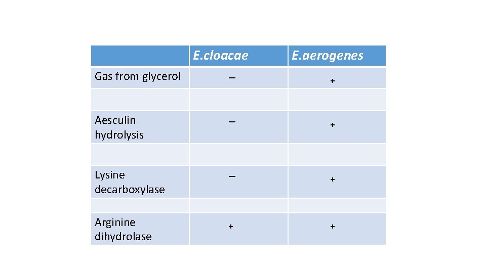 E. cloacae E. aerogenes Gas from glycerol ‒ ₊ Aesculin hydrolysis ‒ ₊ Lysine
