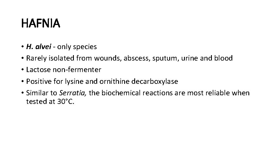 HAFNIA • H. alvei - only species • Rarely isolated from wounds, abscess, sputum,