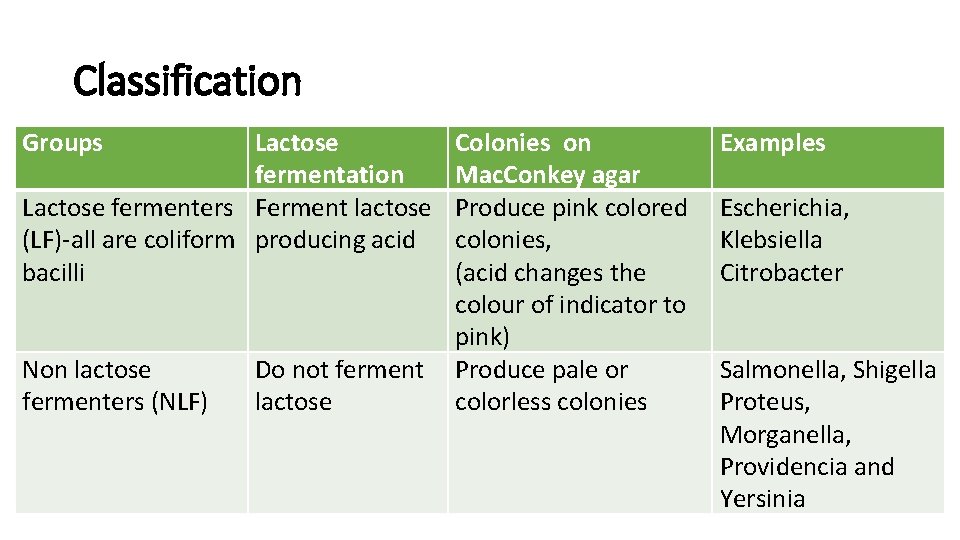 Classification Groups Lactose fermentation Lactose fermenters Ferment lactose (LF)-all are coliform producing acid bacilli