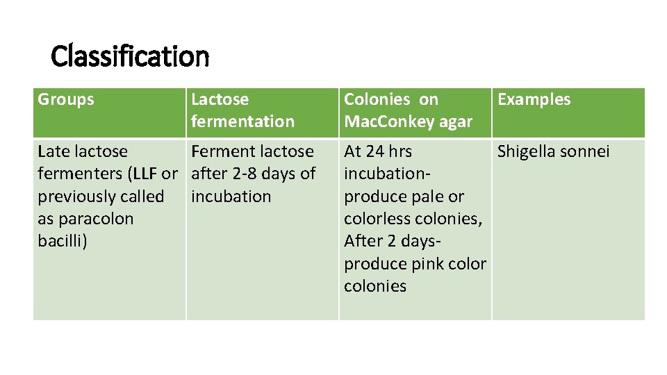 Classification Groups Lactose fermentation Late lactose Ferment lactose fermenters (LLF or after 2 -8