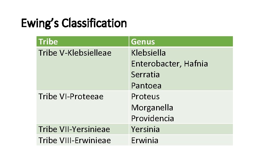 Ewing’s Classification Tribe V-Klebsielleae Tribe VI-Proteeae Tribe VII-Yersinieae Tribe VIII-Erwinieae Genus Klebsiella Enterobacter, Hafnia