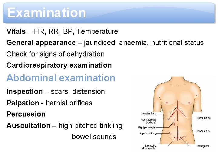 Examination Vitals – HR, RR, BP, Temperature General appearance – jaundiced, anaemia, nutritional status