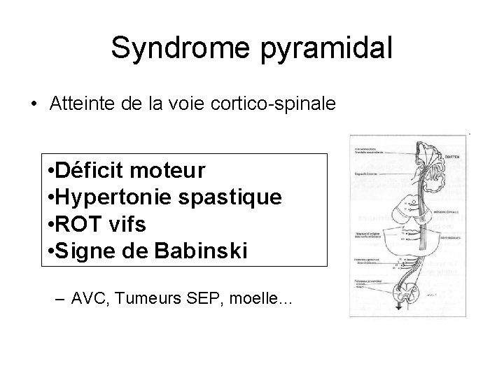 Syndrome pyramidal • Atteinte de la voie cortico-spinale • Déficit moteur • Hypertonie spastique