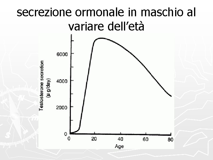 secrezione ormonale in maschio al variare dell’età 