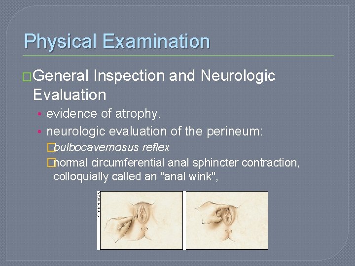 Physical Examination �General Inspection and Neurologic Evaluation • evidence of atrophy. • neurologic evaluation