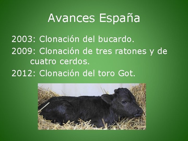 Avances España 2003: Clonación del bucardo. 2009: Clonación de tres ratones y de cuatro