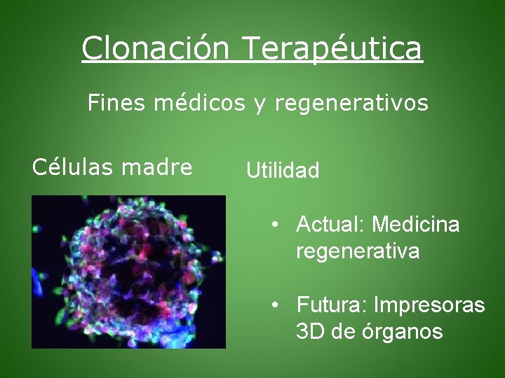 Clonación Terapéutica Fines médicos y regenerativos Células madre Utilidad • Actual: Medicina regenerativa •