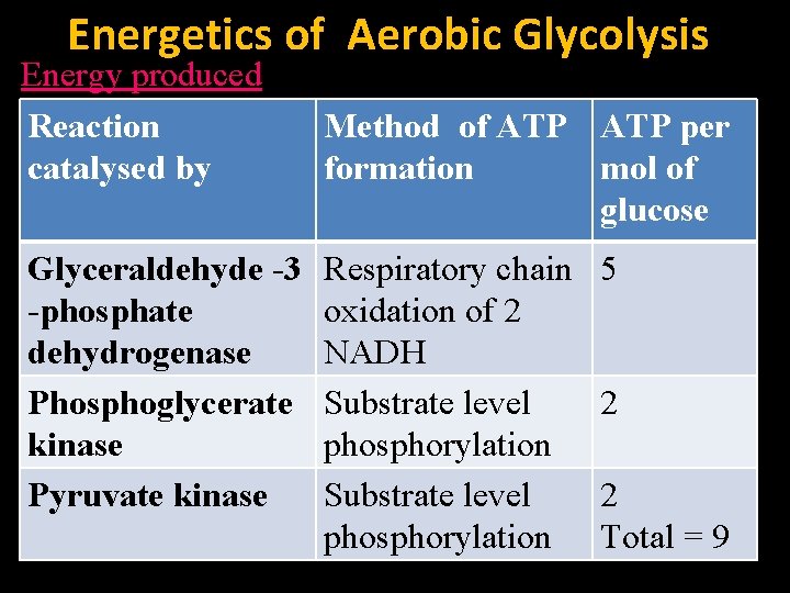 Energetics of Aerobic Glycolysis Energy produced Reaction catalysed by Glyceraldehyde -3 -phosphate dehydrogenase Phosphoglycerate