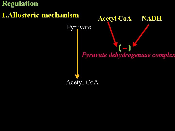 Regulation 1. Allosteric mechanism Acetyl Co. A NADH Pyruvate dehydrogenase complex Acetyl Co. A