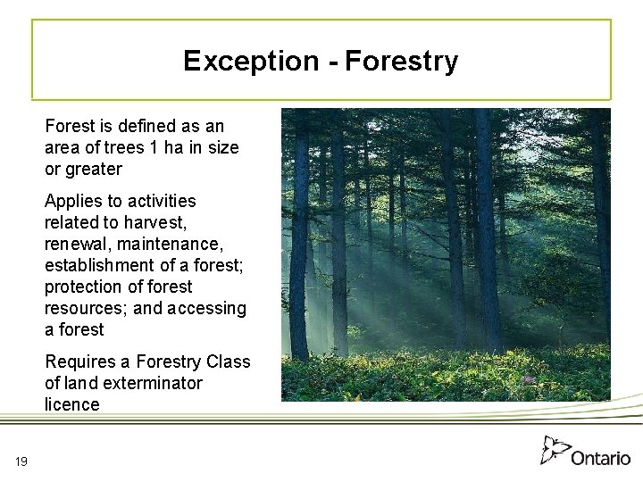 Exception - Forestry Forest is defined as an area of trees 1 ha in