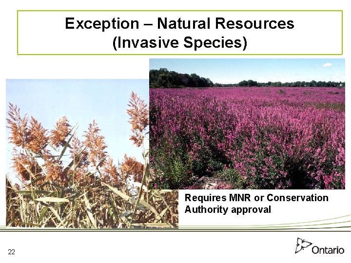 Exception – Natural Resources (Invasive Species) Requires MNR or Conservation Authority approval 22 