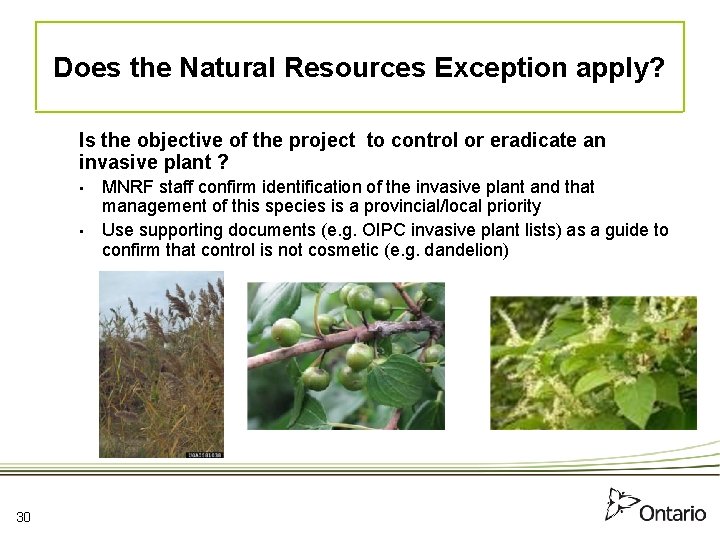 Does the Natural Resources Exception apply? Is the objective of the project to control