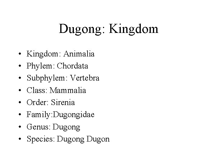 The Dugong Dugon Presentation by Ian Loe Dugongs