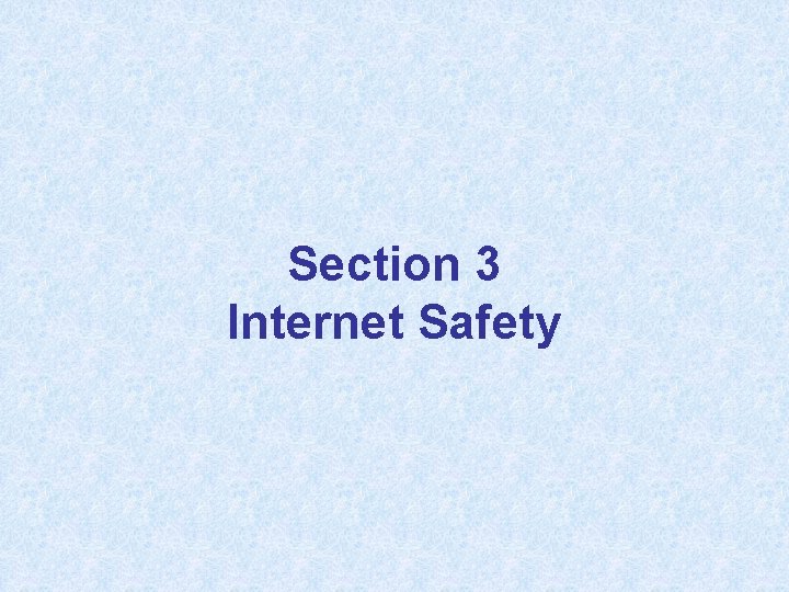 Section 3 Internet Safety 