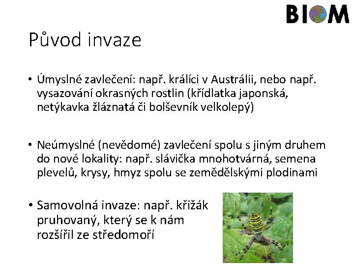 Původ invaze • Úmyslné zavlečení: např. králíci v Austrálii, nebo např. vysazování okrasných rostlin