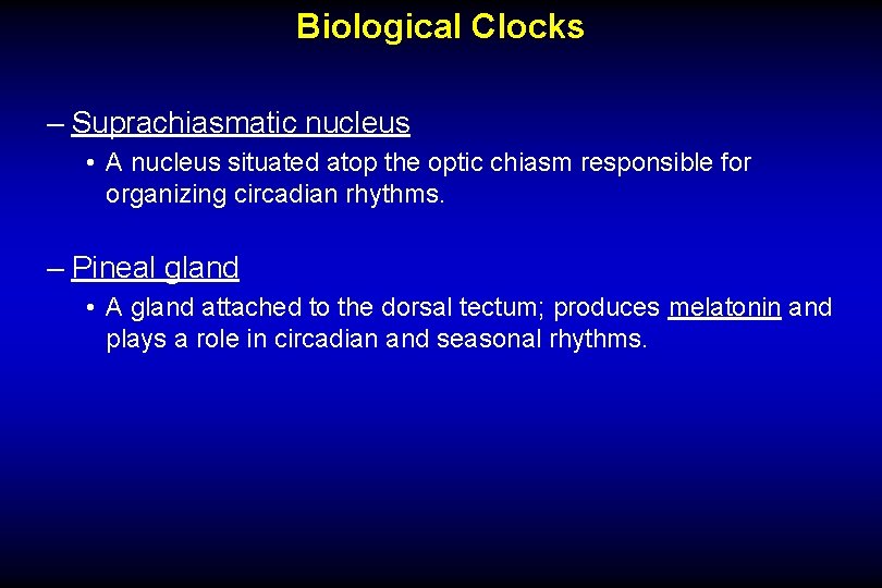 Biological Clocks – Suprachiasmatic nucleus • A nucleus situated atop the optic chiasm responsible